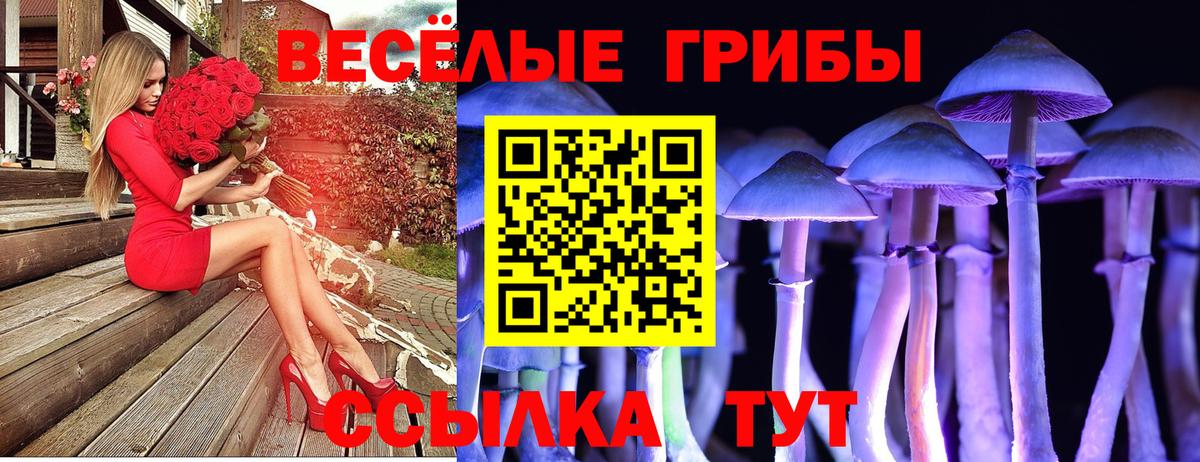 Псилоцибиновые грибы GOLDEN TEACHER Ялуторовск